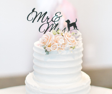 Amanda Ellen Gibbs Photography Toronto Wedding Photographer