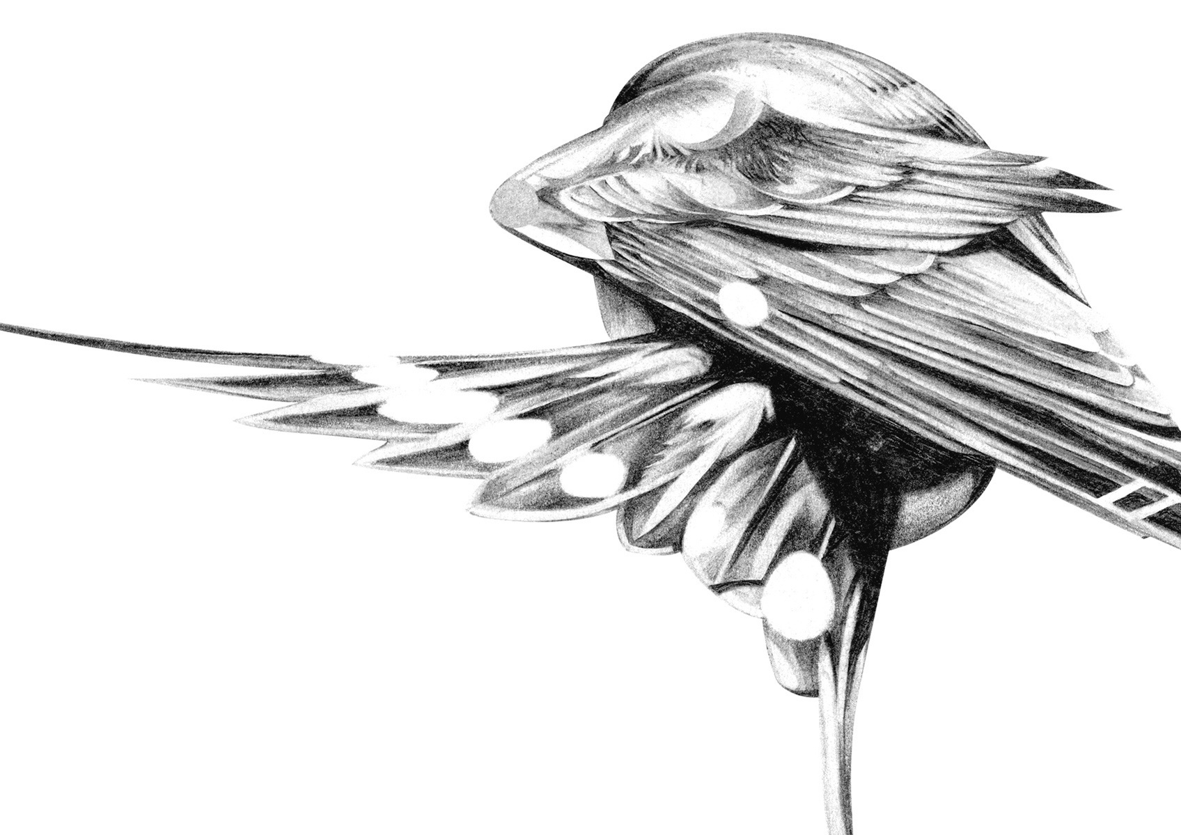 Selection of work from the ongoing 'Flight Series' by HelloVon. www.hellovon.com Leading sports and portrait illustrator . Illustration, contemporary, modern, motion, birds, lion, flight, bird dynamic, beautiful drawing
