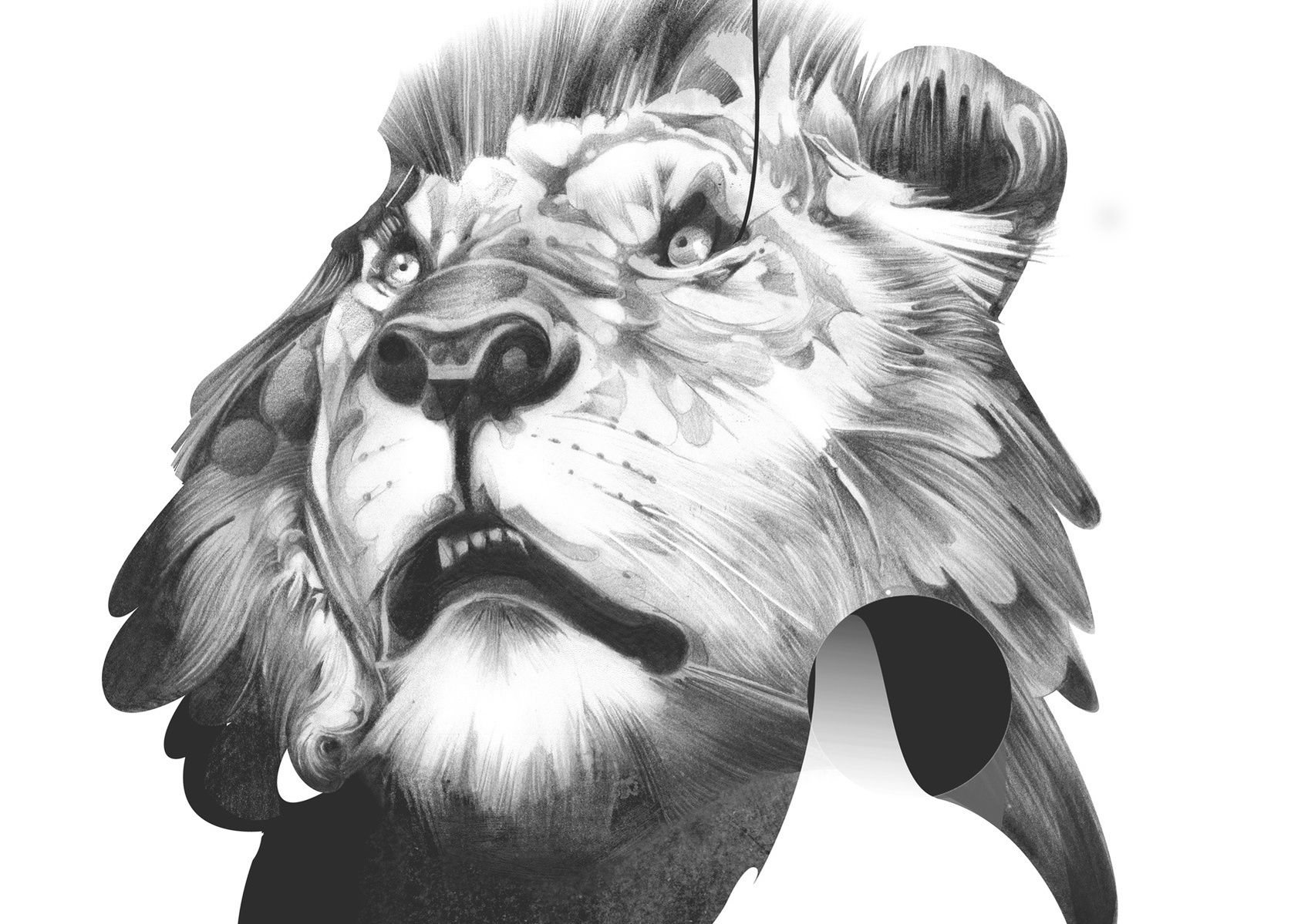 Selection of work from the ongoing 'Animal Series' by HelloVon. www.hellovon.com Leading sports and portrait illustrator . Illustration, contemporary, modern, motion, animals, lion, zebra, bird dynamic, beautiful drawing