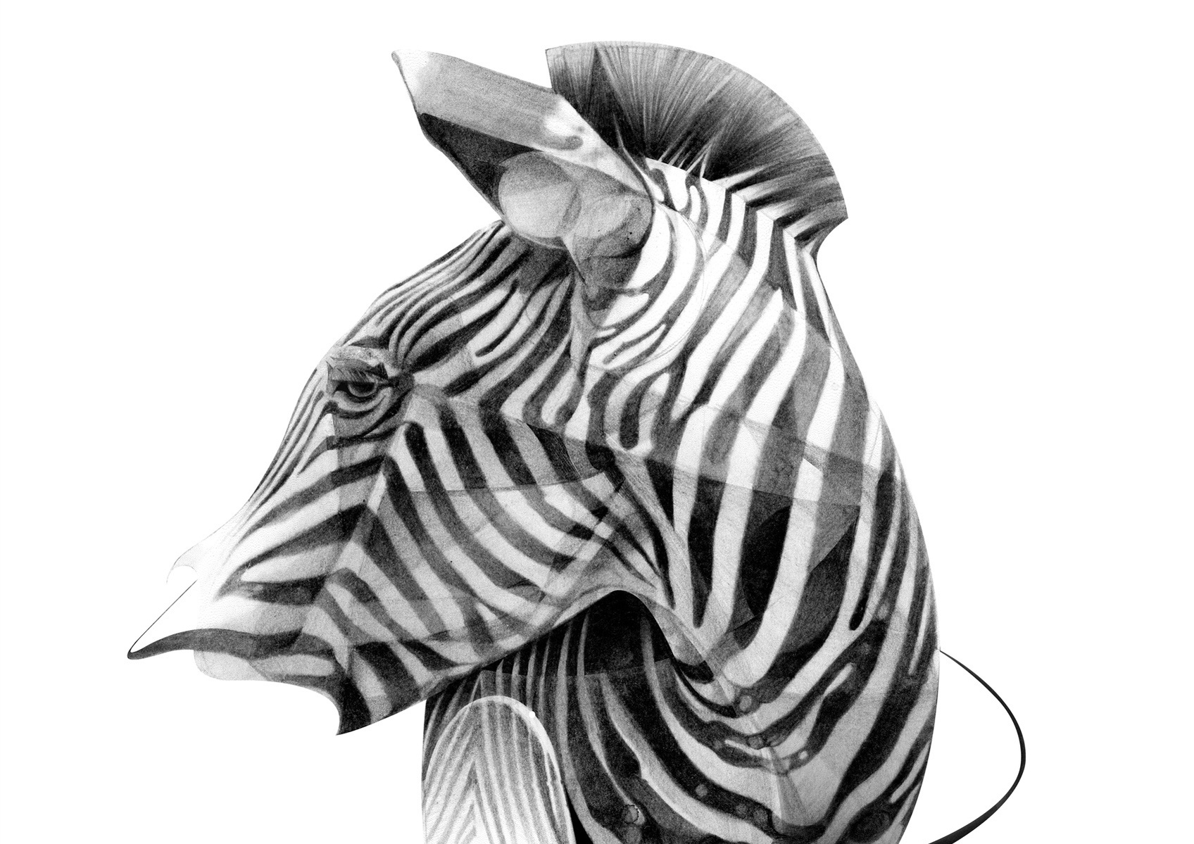 Selection of work from the ongoing 'Animal Series' by HelloVon. www.hellovon.com Leading sports and portrait illustrator . Illustration, contemporary, modern, motion, animals, lion, zebra, bird dynamic, beautiful drawing