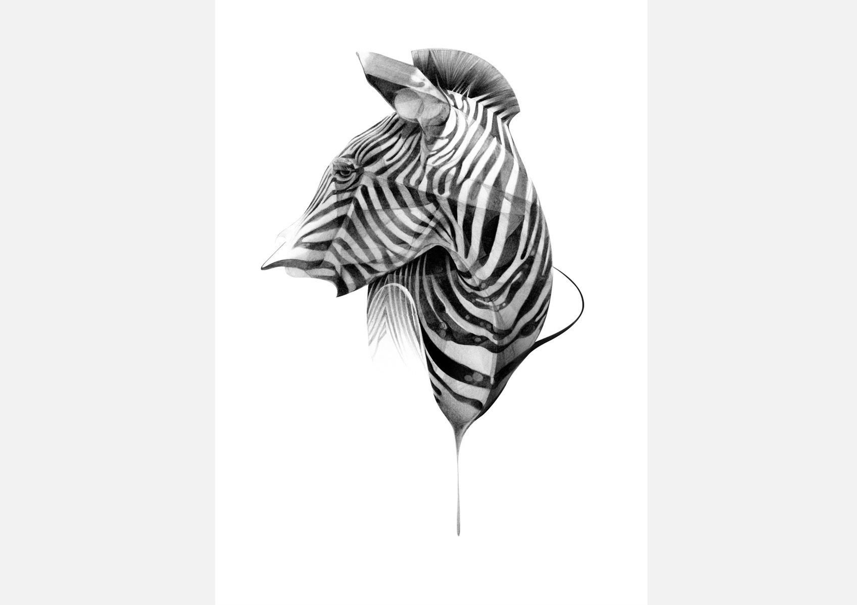 Selection of work from the ongoing 'Animal Series' by HelloVon. www.hellovon.com Leading sports and portrait illustrator . Illustration, contemporary, modern, motion, animals, lion, zebra, bird dynamic, beautiful drawing