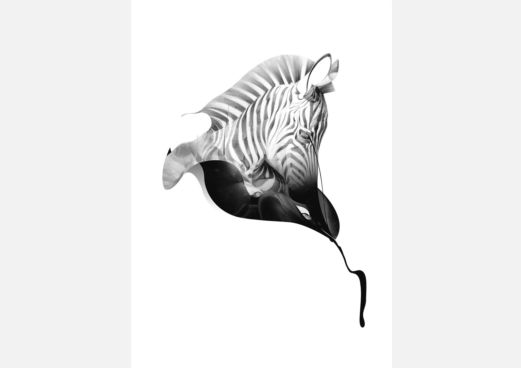 Selection of work from the ongoing 'Animal Series' by HelloVon. www.hellovon.com Leading sports and portrait illustrator . Illustration, contemporary, modern, motion, animals, lion, zebra, bird dynamic, beautiful drawing