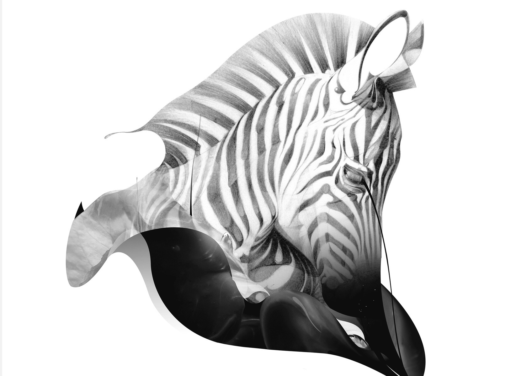 Selection of work from the ongoing 'Animal Series' by HelloVon. www.hellovon.com Leading sports and portrait illustrator . Illustration, contemporary, modern, motion, animals, lion, zebra, bird dynamic, beautiful drawing