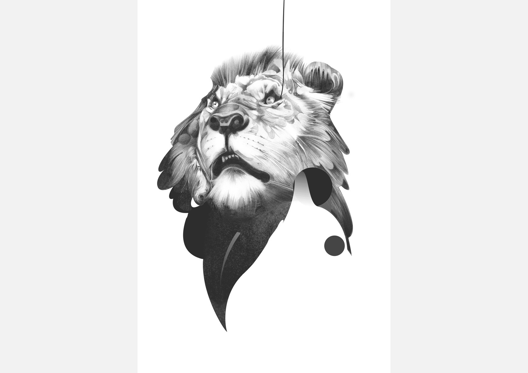 Selection of work from the ongoing 'Animal Series' by HelloVon. www.hellovon.com Leading sports and portrait illustrator . Illustration, contemporary, modern, motion, animals, lion, zebra, bird dynamic, beautiful drawing