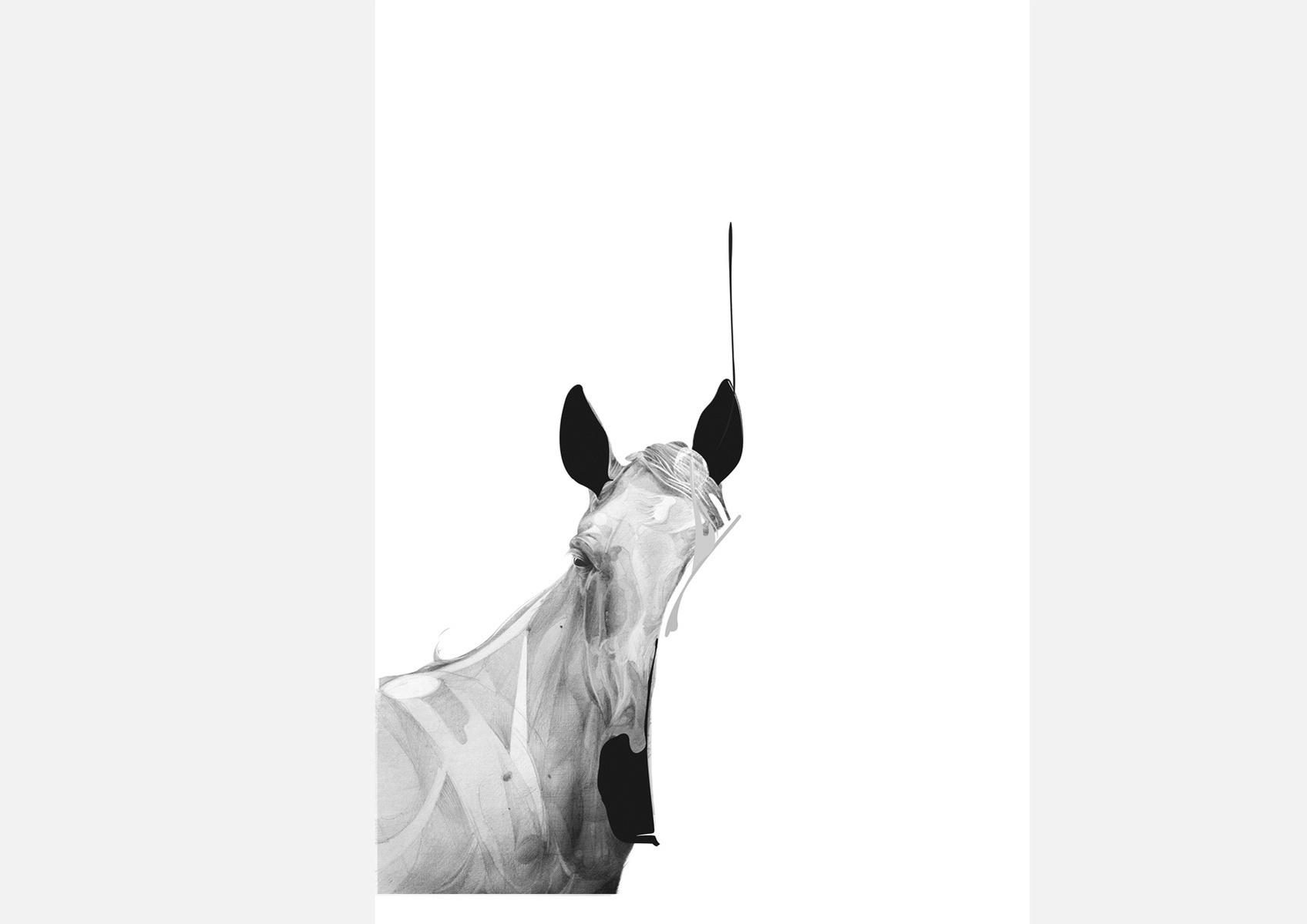 Selection of work from the ongoing 'Animal Series' by HelloVon. www.hellovon.com Leading sports and portrait illustrator . Illustration, contemporary, modern, motion, animals, lion, zebra, bird dynamic, beautiful drawing