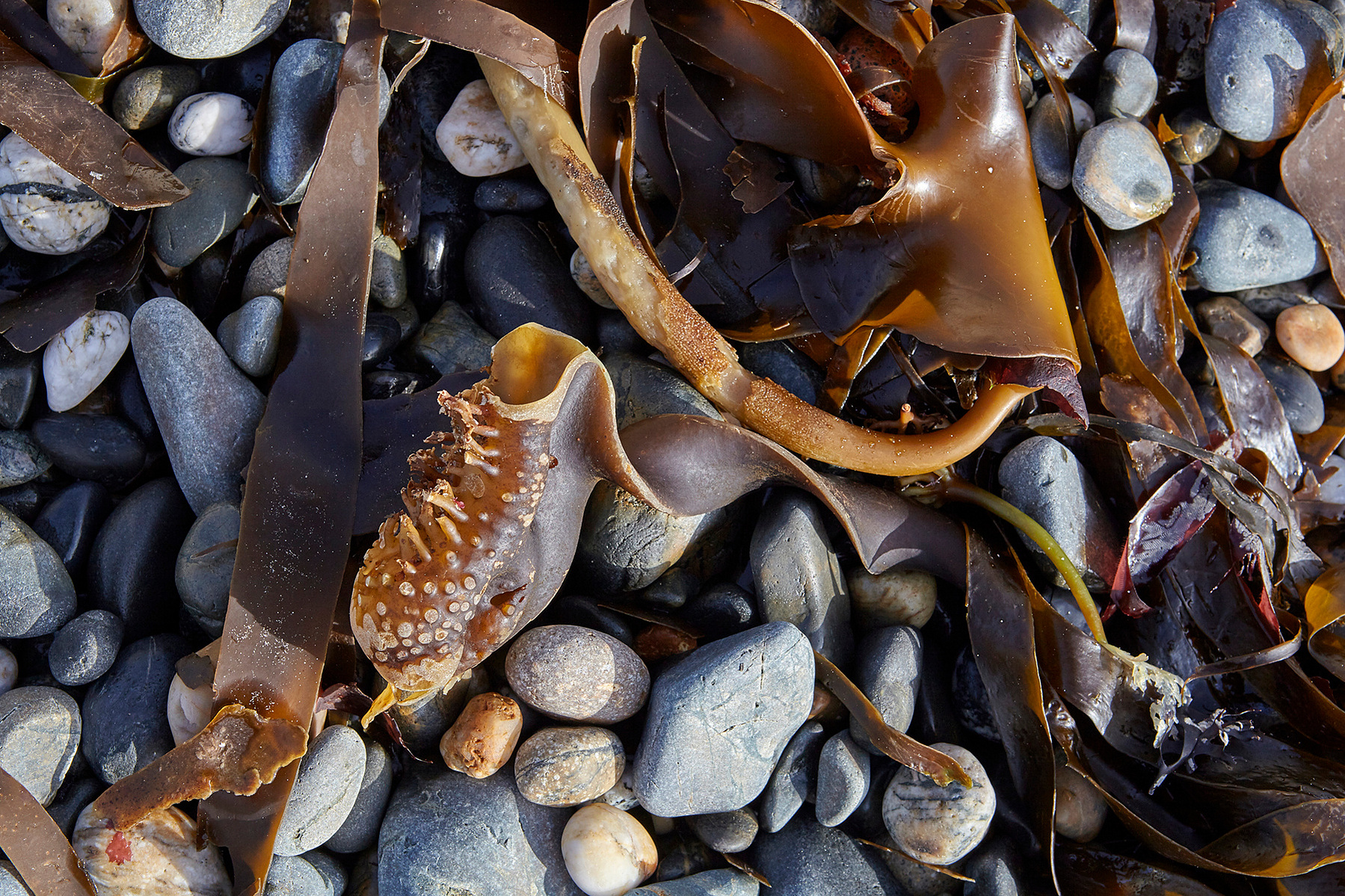 Pebbles on a beach stock photos