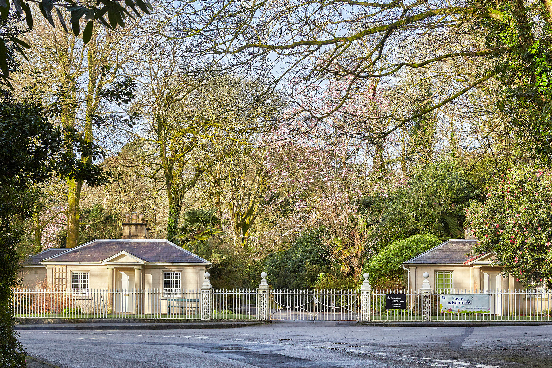 Trengwainton White Gates in spring Magnolia Cornish Plant stock photo from Cornish Pixels.