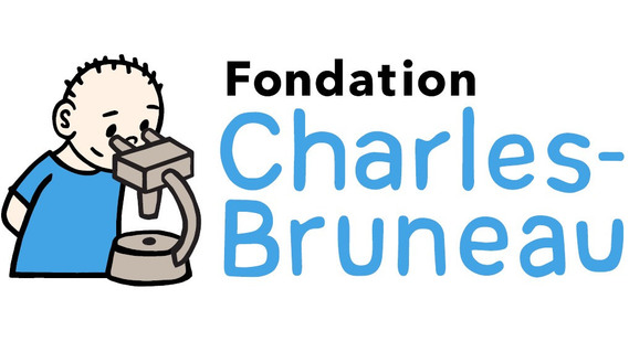Fondation charles bruneau