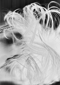 Inverted image of a scanned hair in black and white.