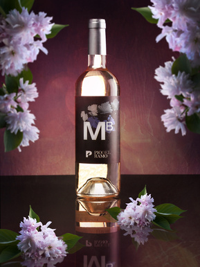 pio del ramo, wine, vino