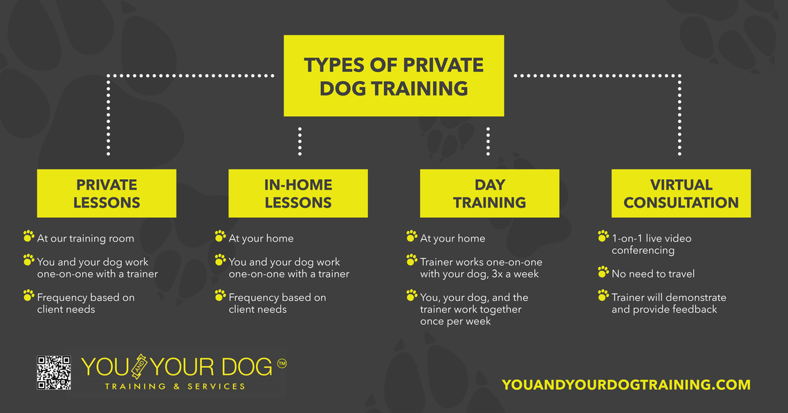 Private dog training classes 2025