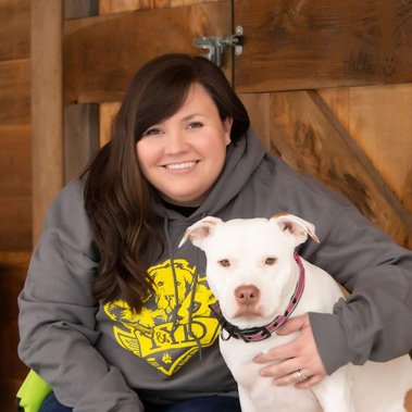 Pit Bull Staffordshire Rescue