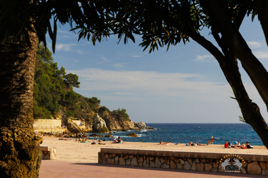 Playa de Fenals beach view during daylight, emphasis on two branches on the sides of the frame forming a frame inside a frame, Costa Brava