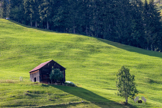 Downhill settlement in the canton of Bern where evening sun sheds his light on the settlement.