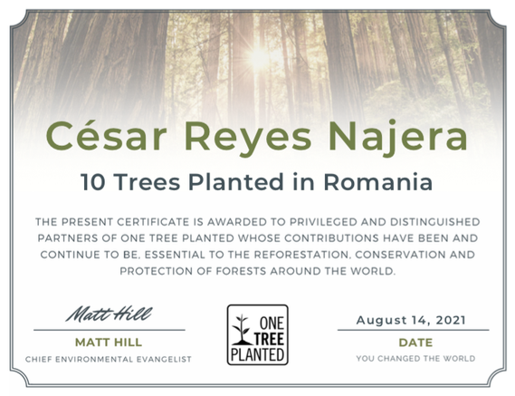 reforestation 