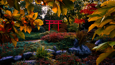 The Fall Season is very popular in photography for good reasons. Red, orange, yellow are my most favorite colors - the Autumn Fire. You will find some of my best Indian Summer shots below.