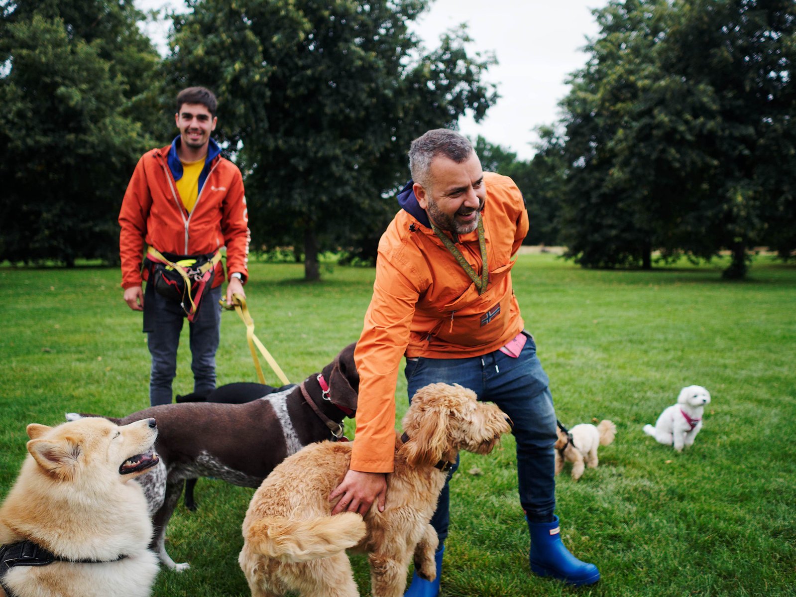 This is a image of "Dog Walkers" in Hyde Park playing with their clients dogs.
