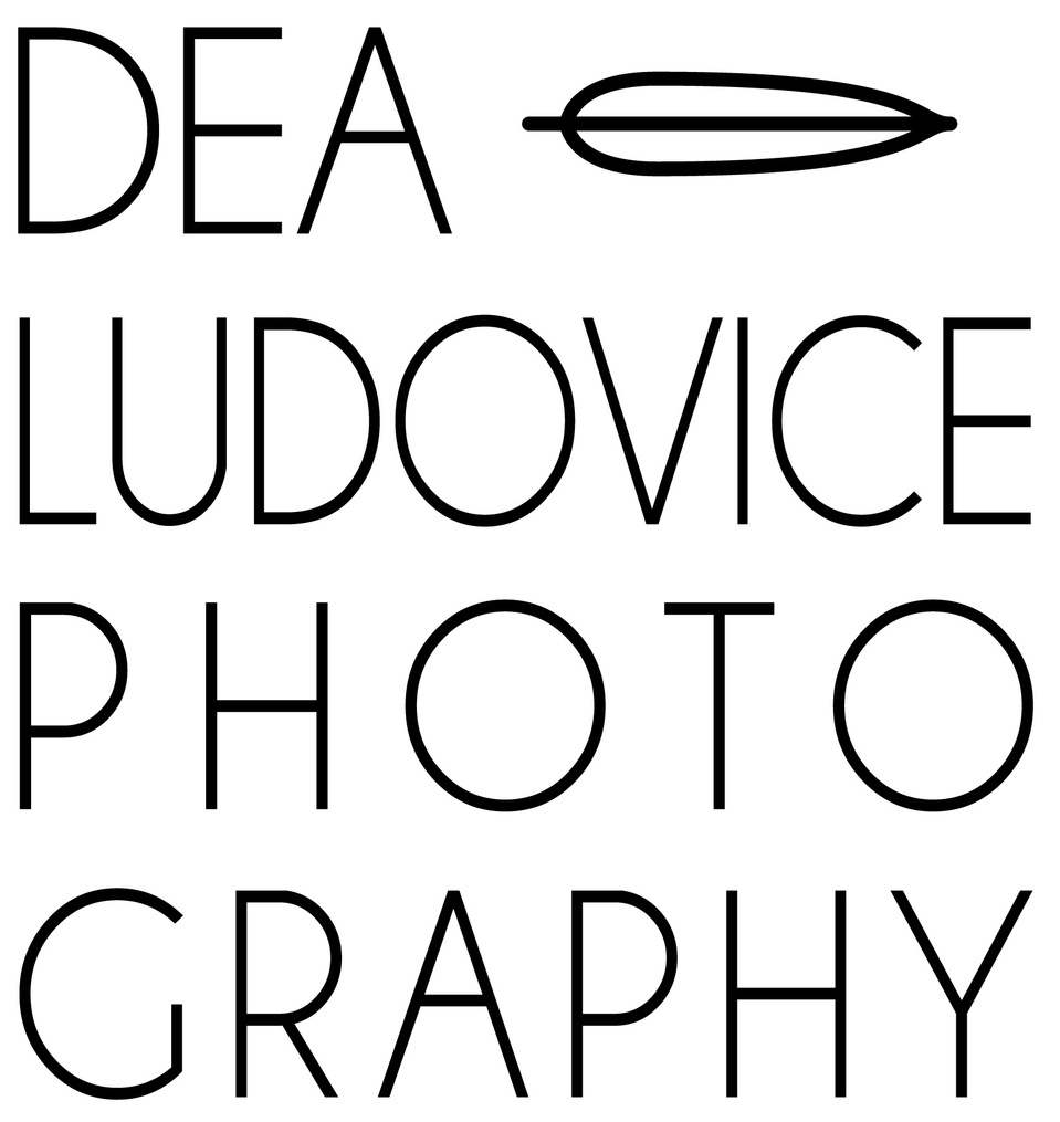 Dea Ludovice