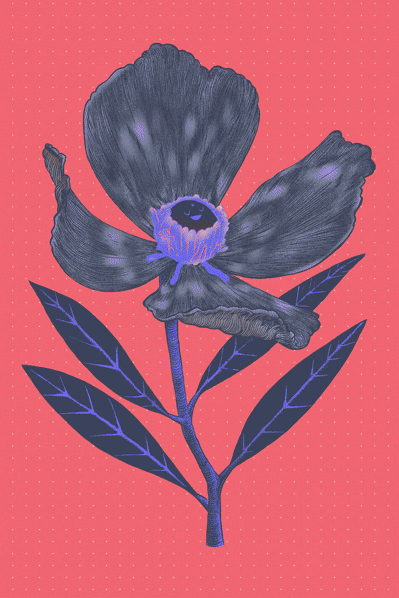 Happy Flower "Disco". Edition of 25. The Floreum.