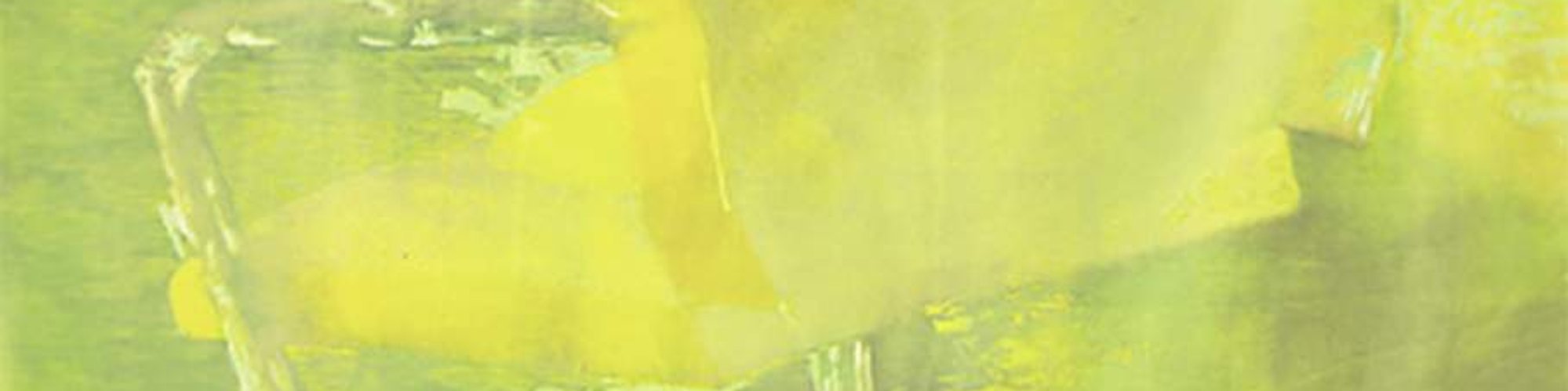 fine arts, modern art, feminist artist, printmaking, woodblock, Hawaii, new artists to watch, up and coming artists, printmaker, best new artists, women artists, contemporary artist, prints, contemporary printmaking, large-scale prints 