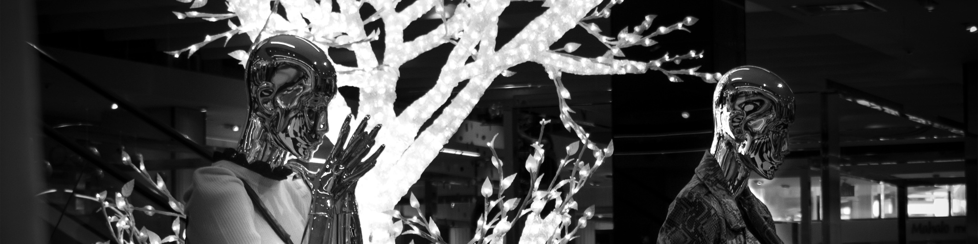 fine art photography, modern art, feminist artist, printmaking, feminist photography, Hawaii, new artists to watch, up and coming artists, printmaker, best new artists, women artists, contemporary artist, prints, contemporary photography