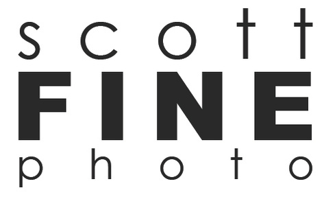 scott fine