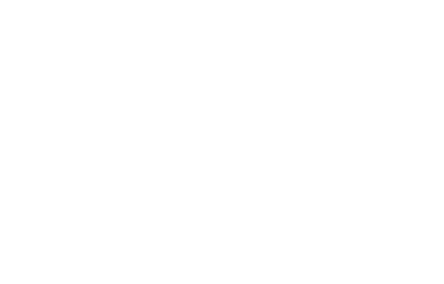 THESOUNDOFLIGHT