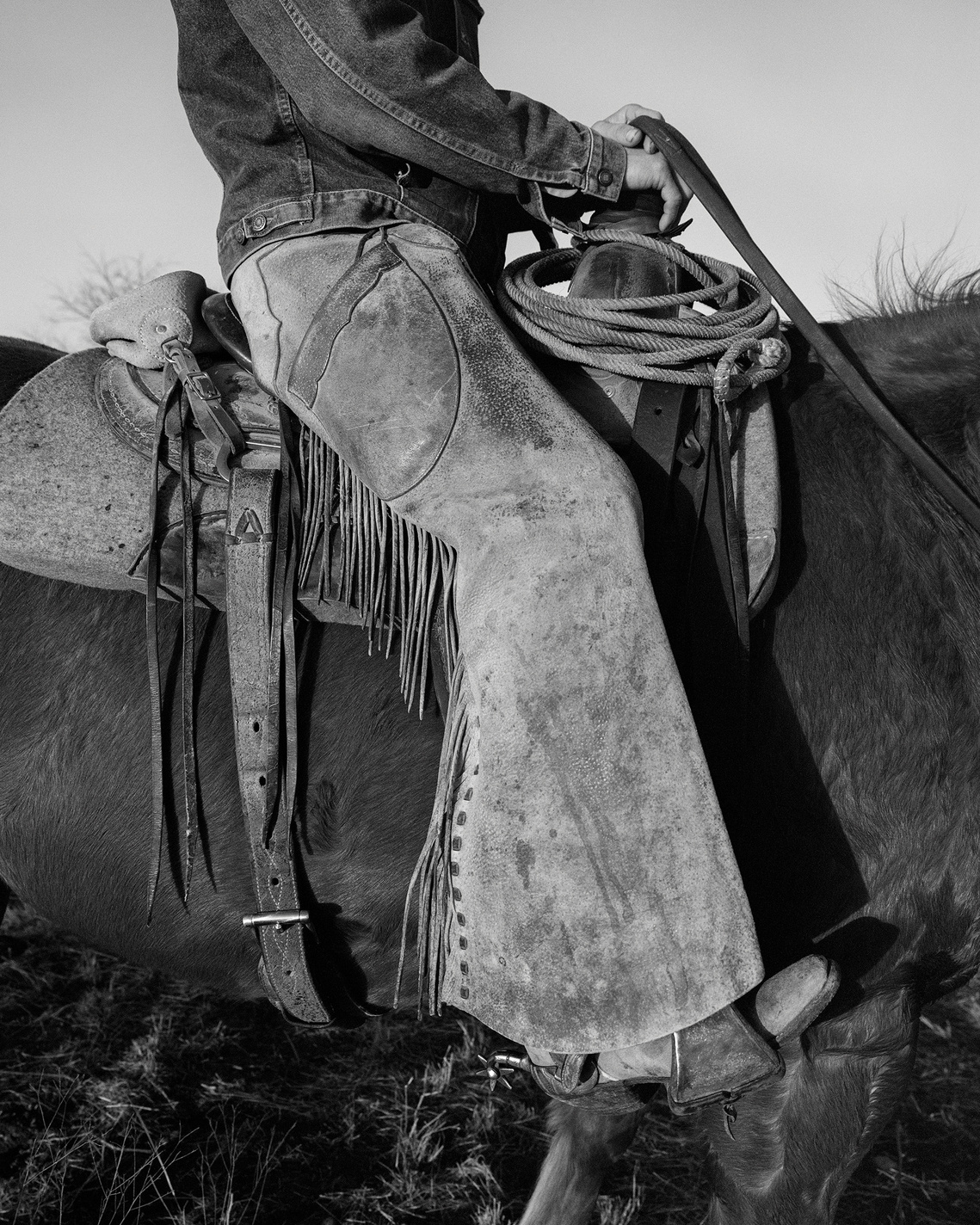 Fine art photograph of cowboy sitting on horseback with rope at the Four Sixes (6666 Ranch) in Texas. Western cowboy artwork captured at sunrise in Texas. Valley of Dust artwork.