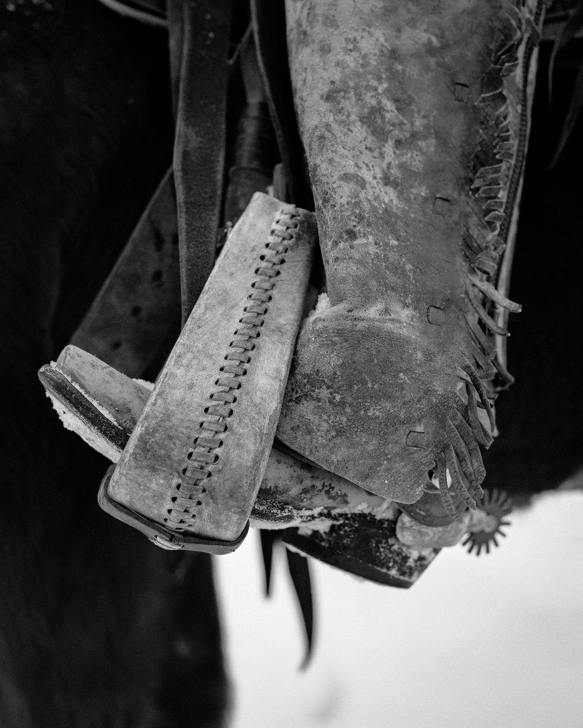 Fine art western photograph of cowboy boots in stirrup during winter in Montana. Western cowboy artwork. Traditions artwork. 