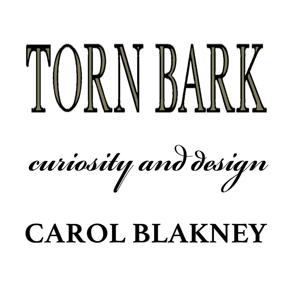 Carol Blakney Designs