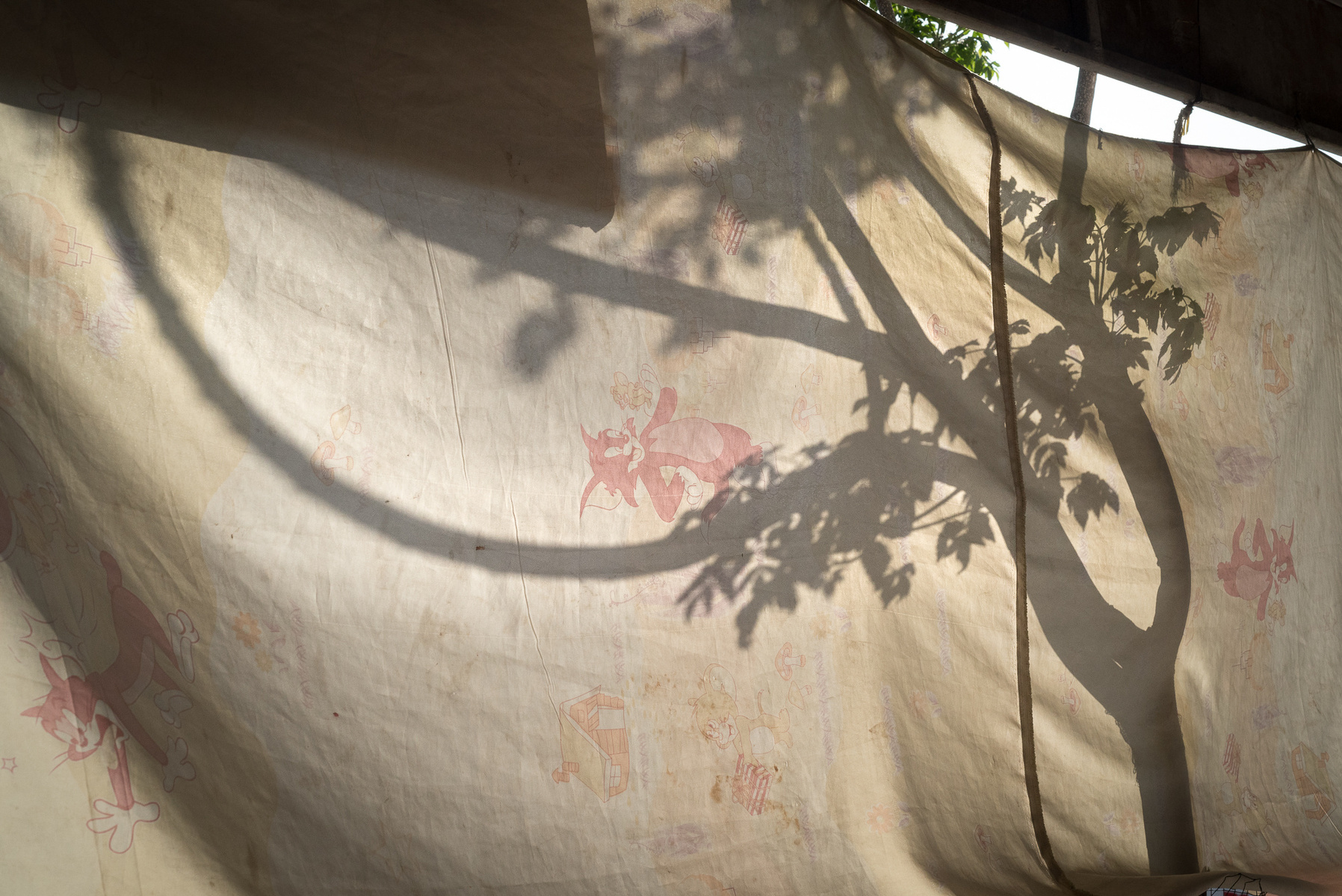 Halabja, KRI. The shadow of a tree behind a curtain in Halabja downtown. The city was hit by a chemical attack on March 16th 1988 and the collective trauma is still lingering. But as Omedy Zhyahawa, a survivor of the attack who was at first believed dead,