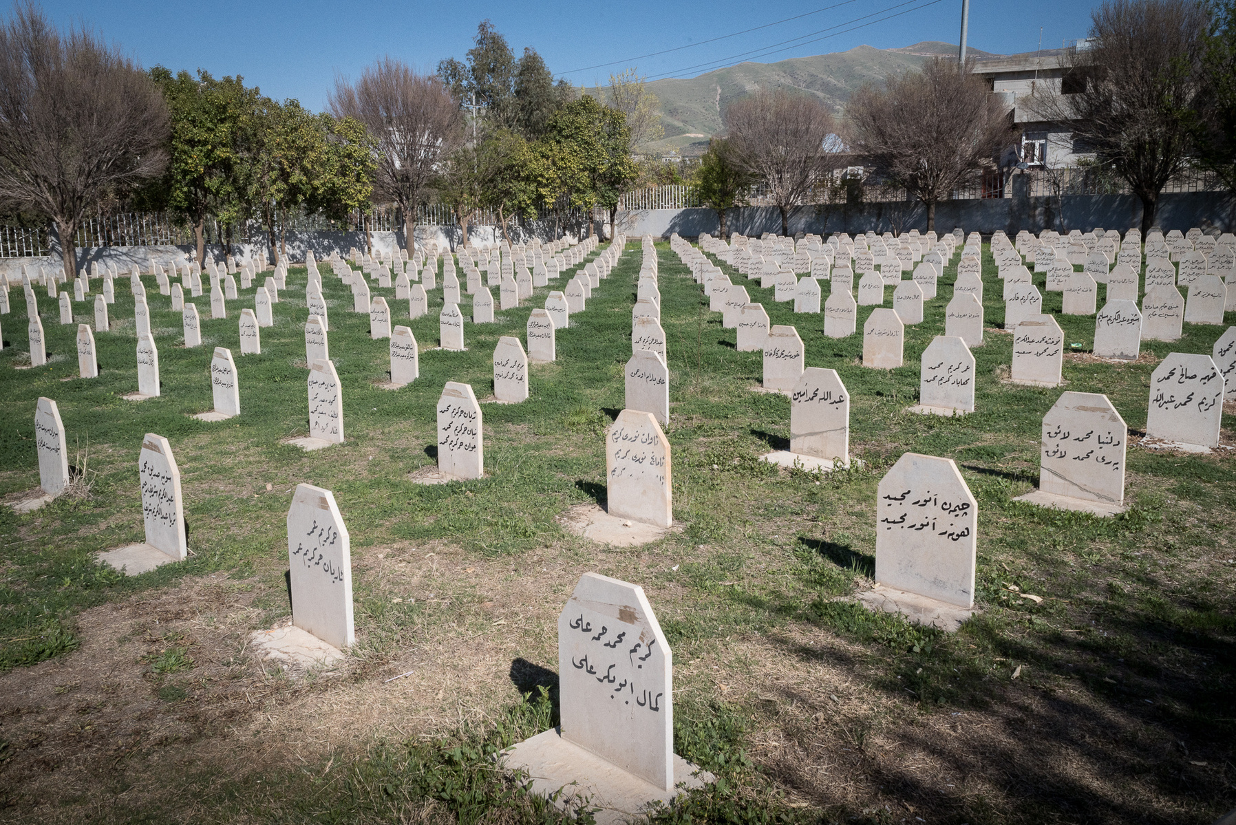 Halabja, KRI. Hundreds of tombstones at the Martyrs graveyard in Halabja commemorate the victims of the 16th of March 1988, when the chemical attack carried out by Saddam Hussein's forces killed between 3,200 and 5,000 civilians.