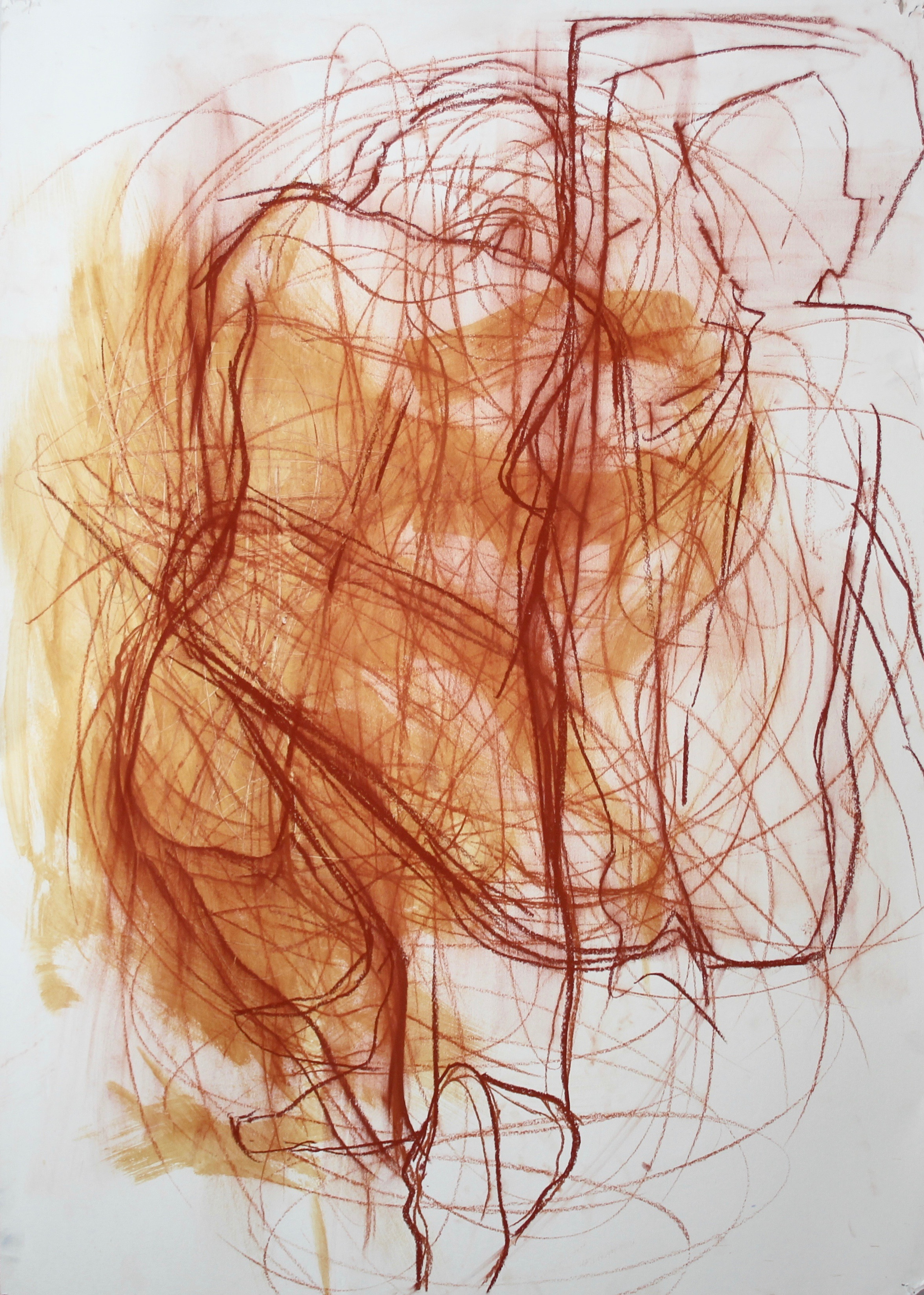 annie fiddian green drawings