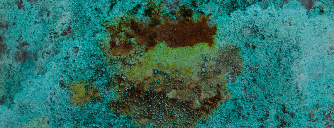 Contact Annie-Rose Fiddian-Green for fine art. Plate III is created using copper nitrate on copper plate.