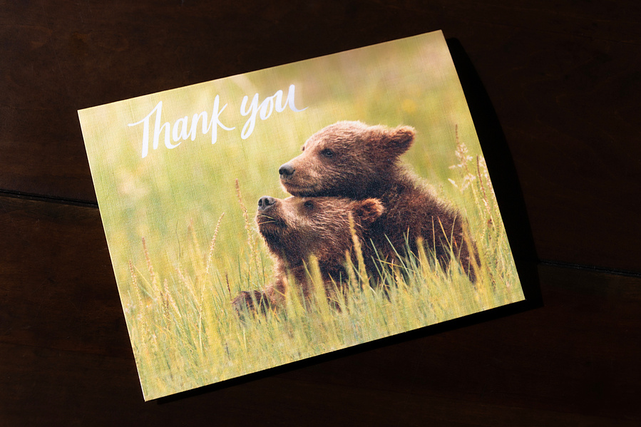 I just can't bear how cute these little cubs are! Made with woven linen paper for an elegant touch, these one-of-a-kind "Thank You" cards will have you beary thankful, indeed! 
Five cards per pack.