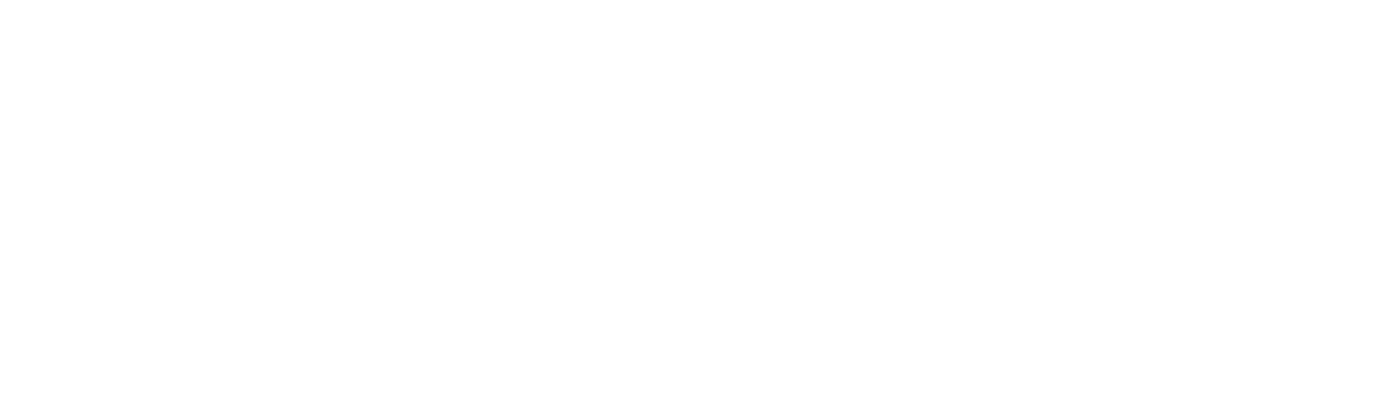 Bryant Vu's Portfolio