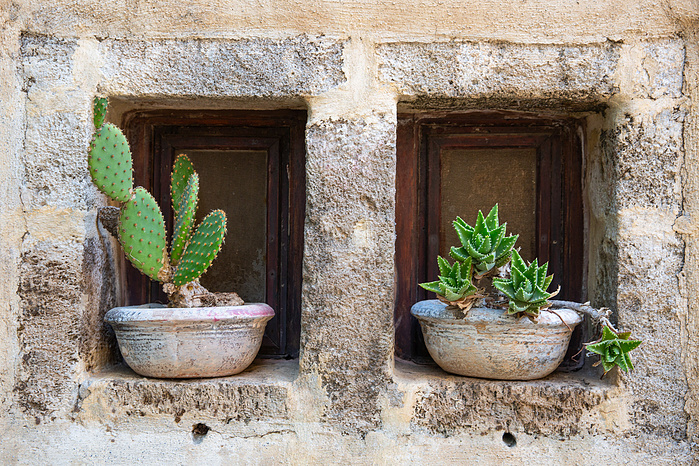 Still Life Mylopotamos Kythira Greece