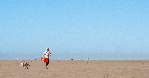 A tranquil morning on the beach of Schouwen-Duiveland, with a lone walker and her dog enjoying the calm coastal beauty of southwest Netherlands.
