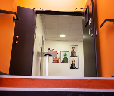 Reportage événementiel réalisé par Johanna Senpau à L'ETPA de Toulouse lors du Grand Prix Photographie.