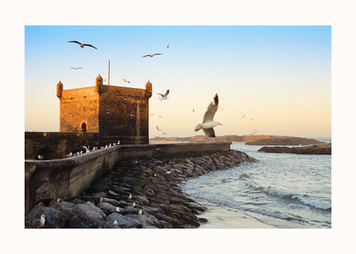 Fine Art print edition of 7 signed & numbered. 50x70 or 30x40 cm on Hahnemühle Bright White paper. Olivier Montay photographer. Seagulls, sunrise, seafront, ancient fortress, harbor. Morocco, Mogador. Film photography