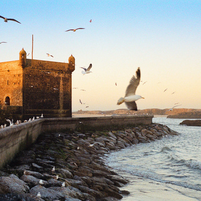 Seagulls spin in the air as the first rays of sun hit the ancient fortress guarding Essaouira Harbor. Morocco, 2020
De nombreuses mouettes volent devant la forteresse du port qu'éclairent les premiers rayons du soleil levant. Maroc.