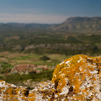 In the foreground, the shape of a stone covered with yellow moss takes up the line of the hilly landscape visible in the background. France, Occitanie, Pyrenees-Orientales, Tour del Far, April 2022