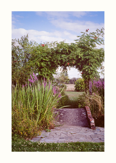 Fine Art print edition of 7 signed & numbered. 50x70 or 30x40 cm on Hahnemühle Bright White paper. Olivier Montay photographer. Garden, small brick bridge, overgrown hopper, flowers. France, Loir-et-Cher, Neung-Sur-Beuvron. Film photography