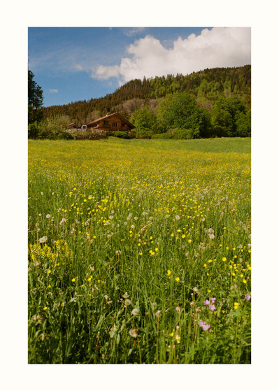 Fine Art print edition of 7 signed & numbered. 50x70 or 30x40 cm on Hahnemühle Bright White paper. Olivier Montay photographer. Chalet on top of a long slope covered in small yellow flowers. France, haute-Savoie. Film photography