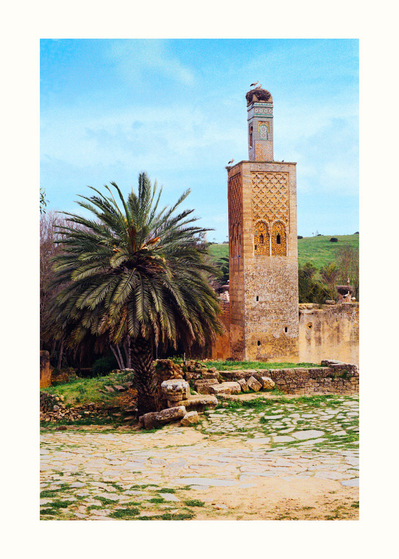 Fine Art print edition of 7 signed & numbered. 50x70 or 30x40 cm on Hahnemühle Bright White paper. Olivier Montay photographer. Palm tree, stork nest, old minaret, Abou El Hassan, roman ruins. Morocco. film photography