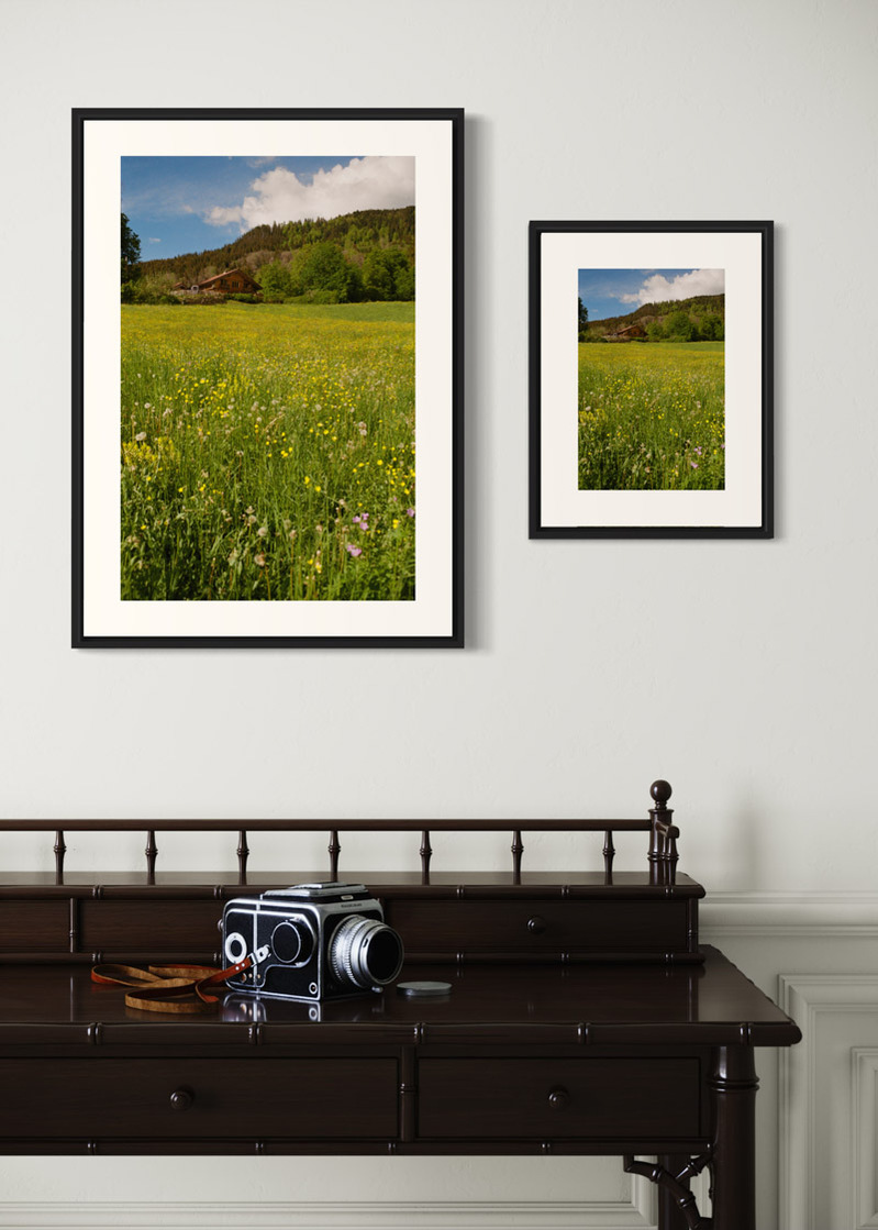 Saint Jean de Sixt#01. Fine art print. Side by side comparison. Large 50x70cm and small 30x40cm formats. Photograph. Console with a medium format camera.
Tirage d’art. Comparaison grand format 50 par 70 centimètres et petit format 30x40cm. Photographie