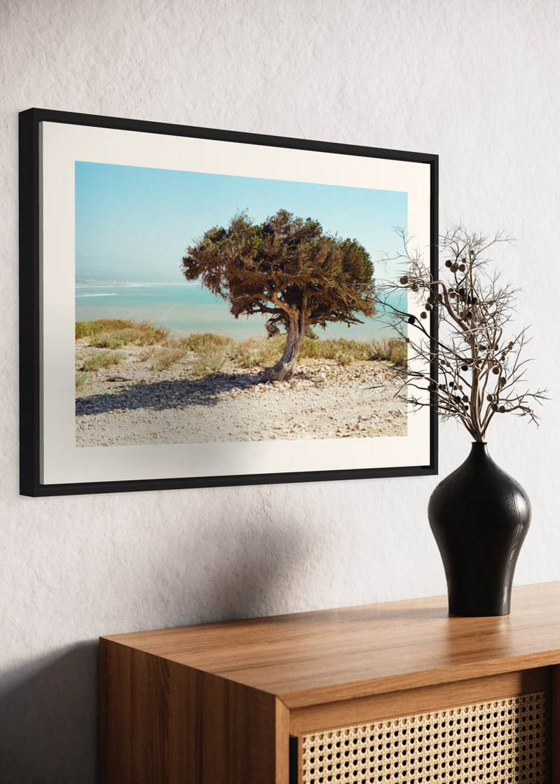 Essaouira#02. Fine art print. Large 50x70cm format hung on a wall above a sideboard. Vase with dried flowers. Photograph. Tirage d’art. Grand format 50 par 70 centimètres, accroché au mur au-dessus d’un buffet. Vase et fleurs séchées. Photographie