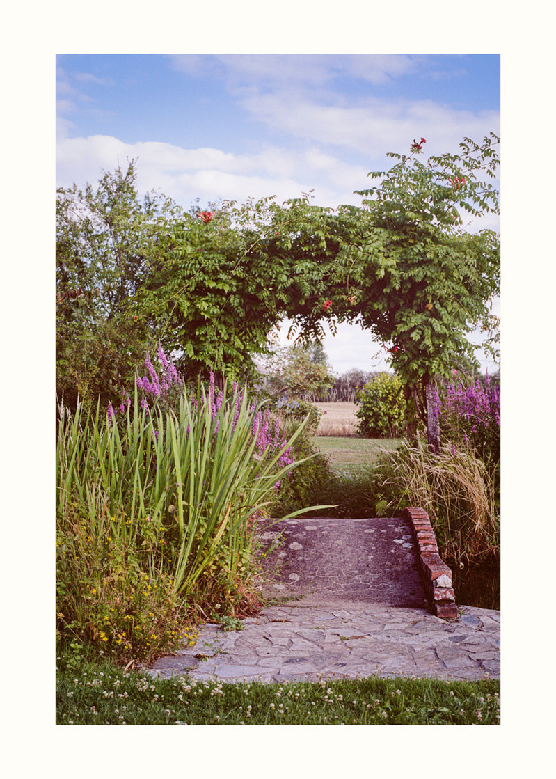 Sologne#01. Fine art print. Limited edition, signed and numbered. Photograph, small and large formats. Neung-sur-Beuvron, France
Tirage d’art. Edition limitée signée et numérotée. Photographie, petit et grand formats