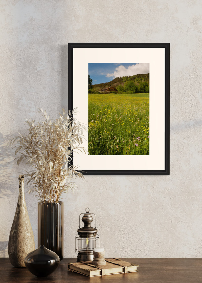 Saint Jean de Sixt#01. Fine art print. Small 30x40 format on a wall above a console, decoration, dried plants. Photograph
Tirage d’art. Petit format 30 par 40 centimètres. Au mur au-dessus d’une console. Objets de décoration plantes séchées. Photographie