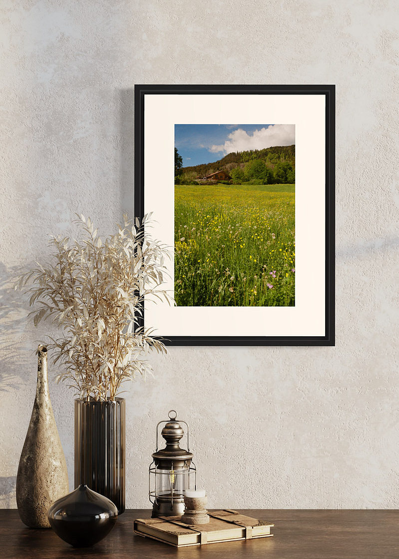 Saint Jean de Sixt#01. Fine art print. Small 30x40 format on a wall above a console, decoration, dried plants. Photograph
Tirage d’art. Petit format 30 par 40 centimètres. Au mur au-dessus d’une console. Objets de décoration plantes séchées. Photographie
